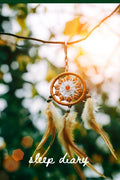 Sleep Diary - Dreamcatcher