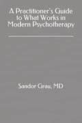 A practitioner's guide to what works in modern psychotherapy.