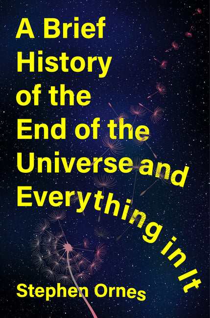 A Brief History of the End of the Universe and Everything in It