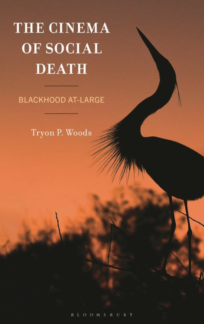 The Cinema of Social Death: Blackhood At-Large