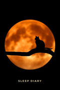 Sleep Diary Full Moon Cat