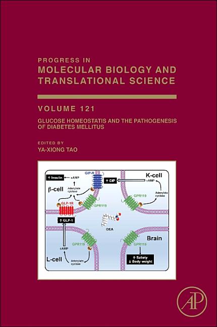 Glucose Homeostatis and the Pathogenesis of Diabetes Mellitus: Volume 121