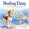 Healing Daisy: Tiny Lights Doing Big Jobs