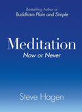 Meditation Now or Never