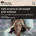 The Science of Sleep and Stress: How They Affect Creativity, Focus, and Memory
