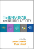 The Human Brain and Neuroplasticity