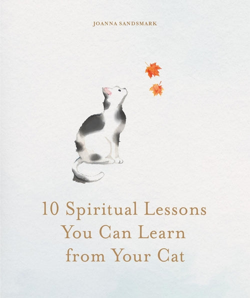 10 Spiritual Lessons You Can Learn from Your Cat: Essential Life Lessons We Can Learn from Our Furry Friend