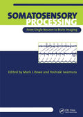 Somatosensory Processing: From Single Neuron to Brain Imaging