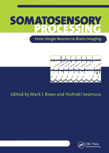 Somatosensory Processing: From Single Neuron to Brain Imaging
